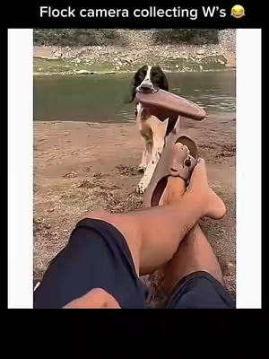 bestie like