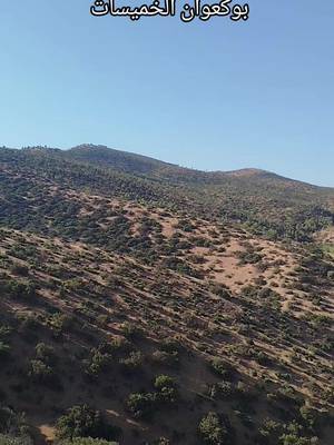 bestie like