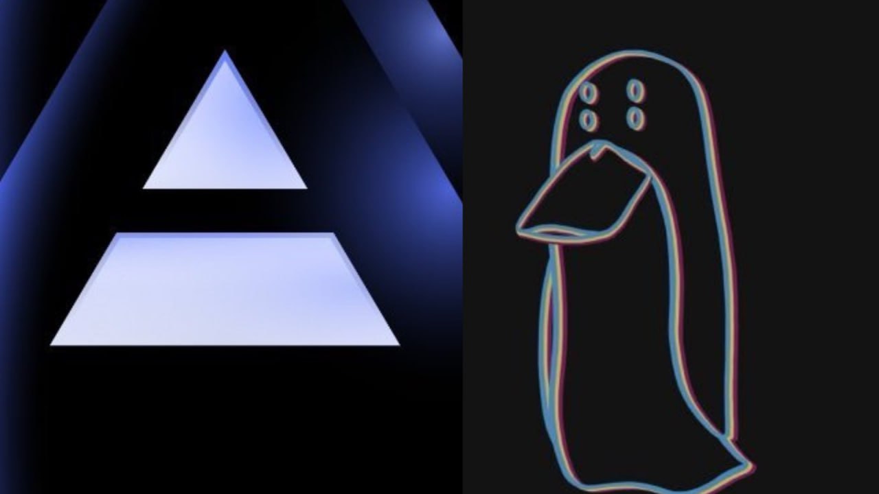 media