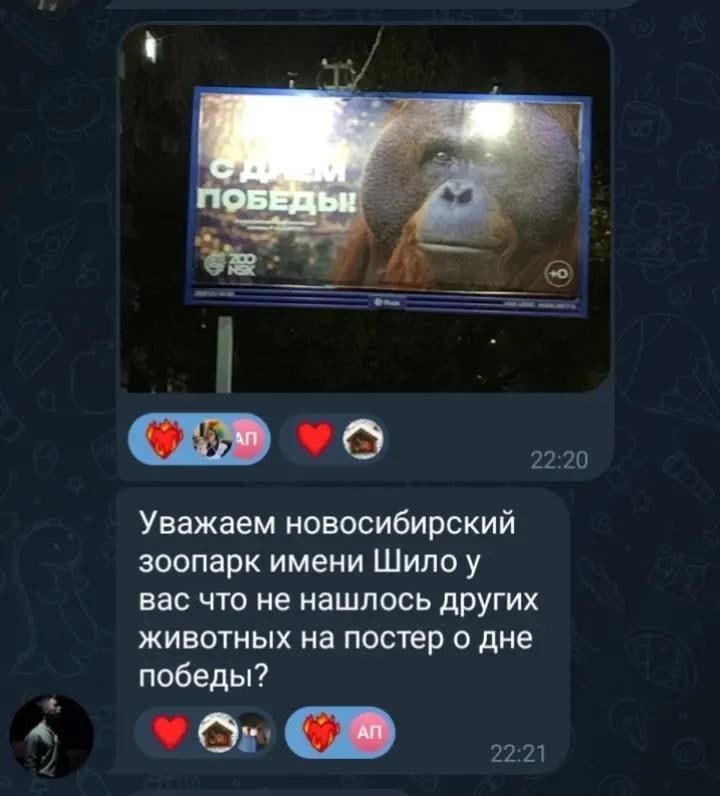 media