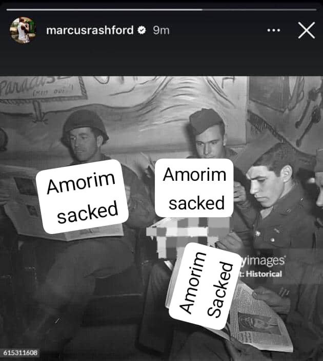 media